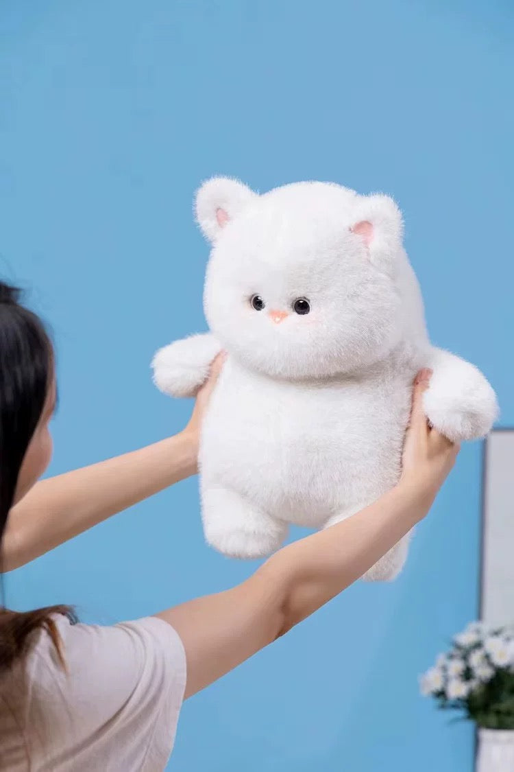 White cat