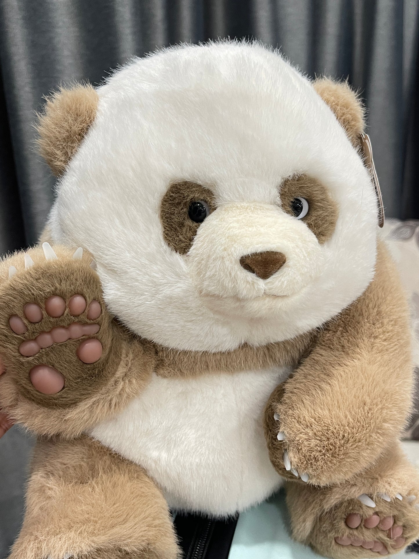 🤎Brown panda 🐼