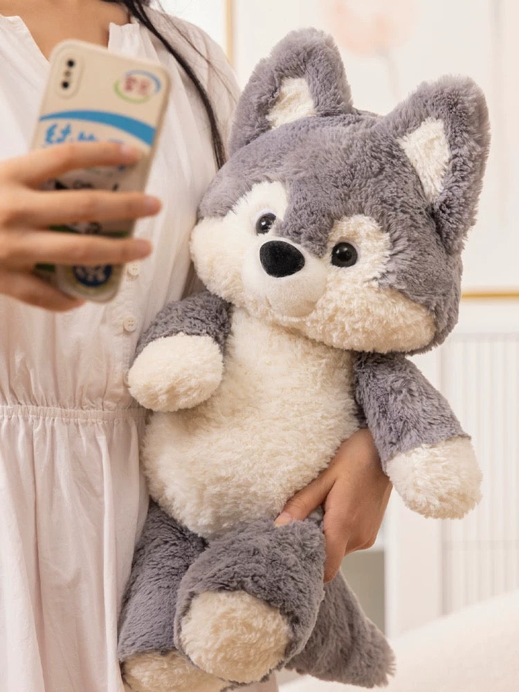 🦊Fox🦊