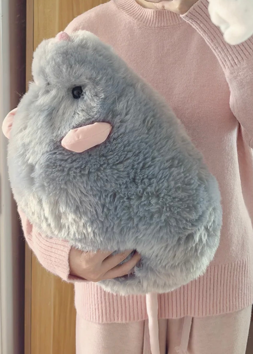 Big mouse doll🐭