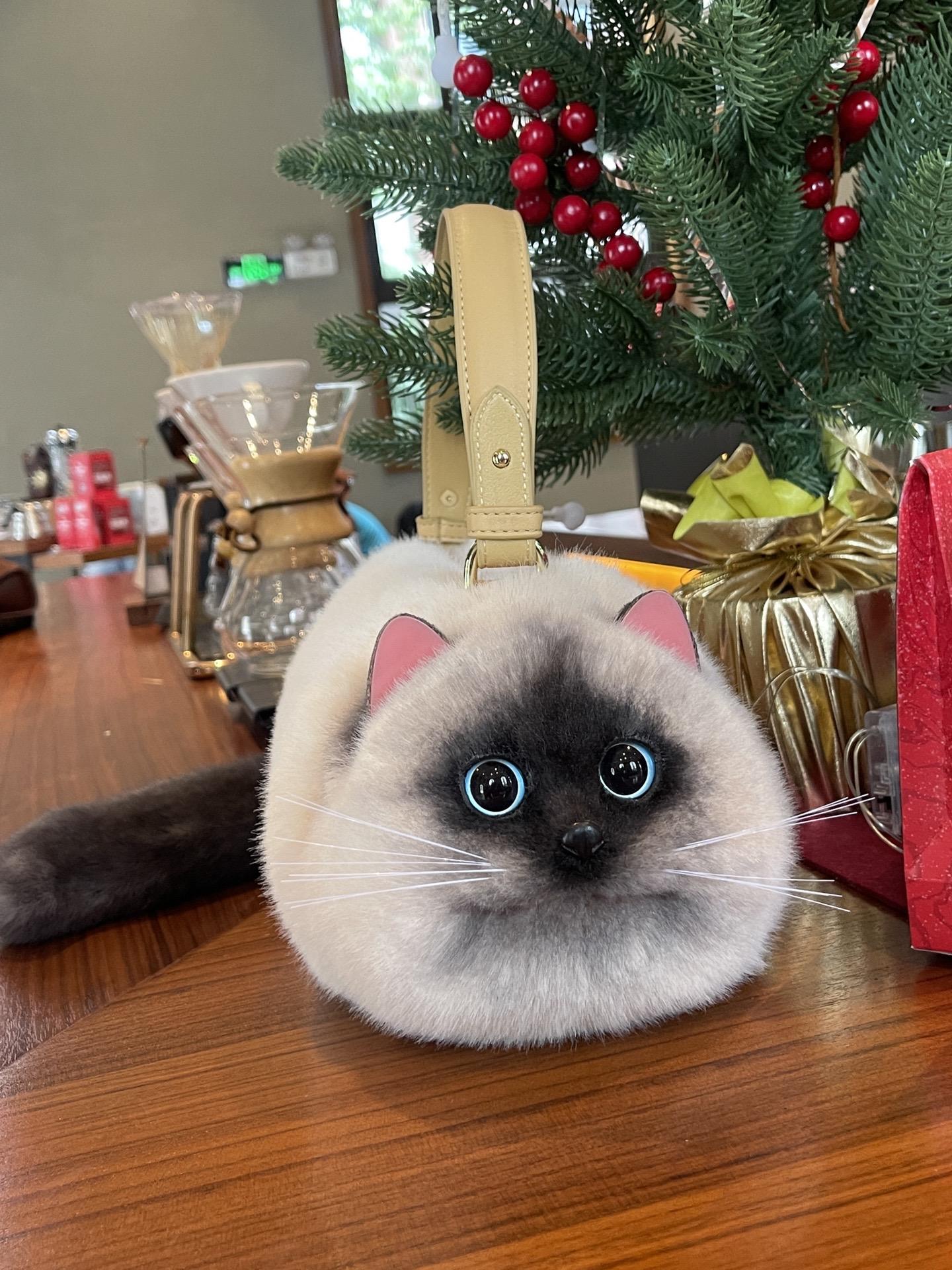 Realistic cat bagπββ¬ππ±π»πΉπ½