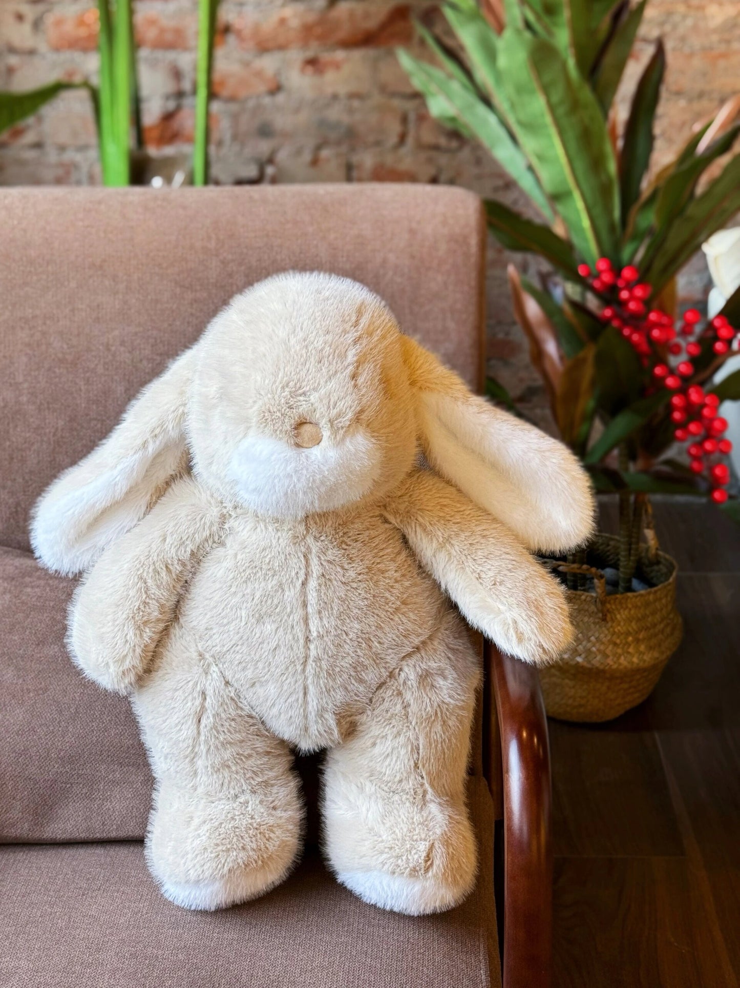 Bunny π°π