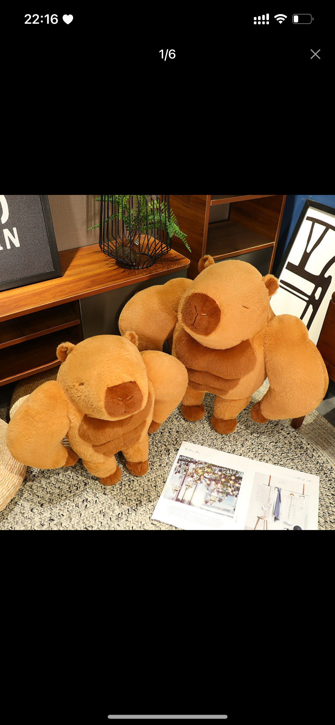 The capybara is strong ๐ช๐ฝ