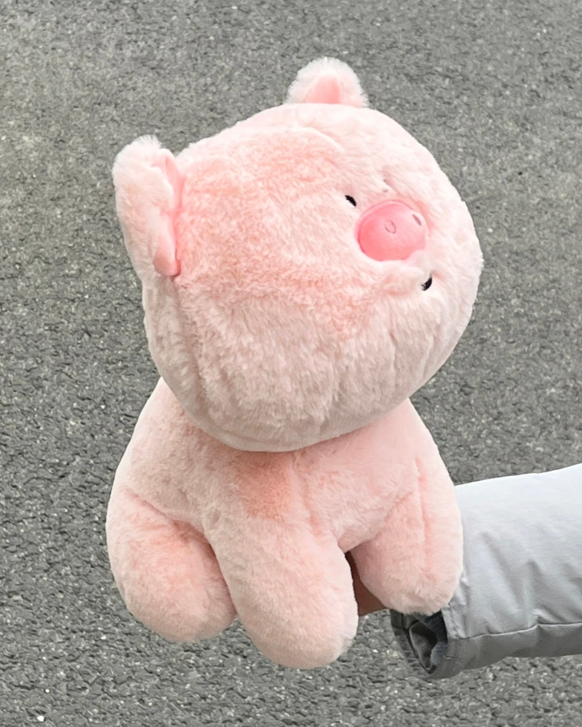 Pig π·π½
