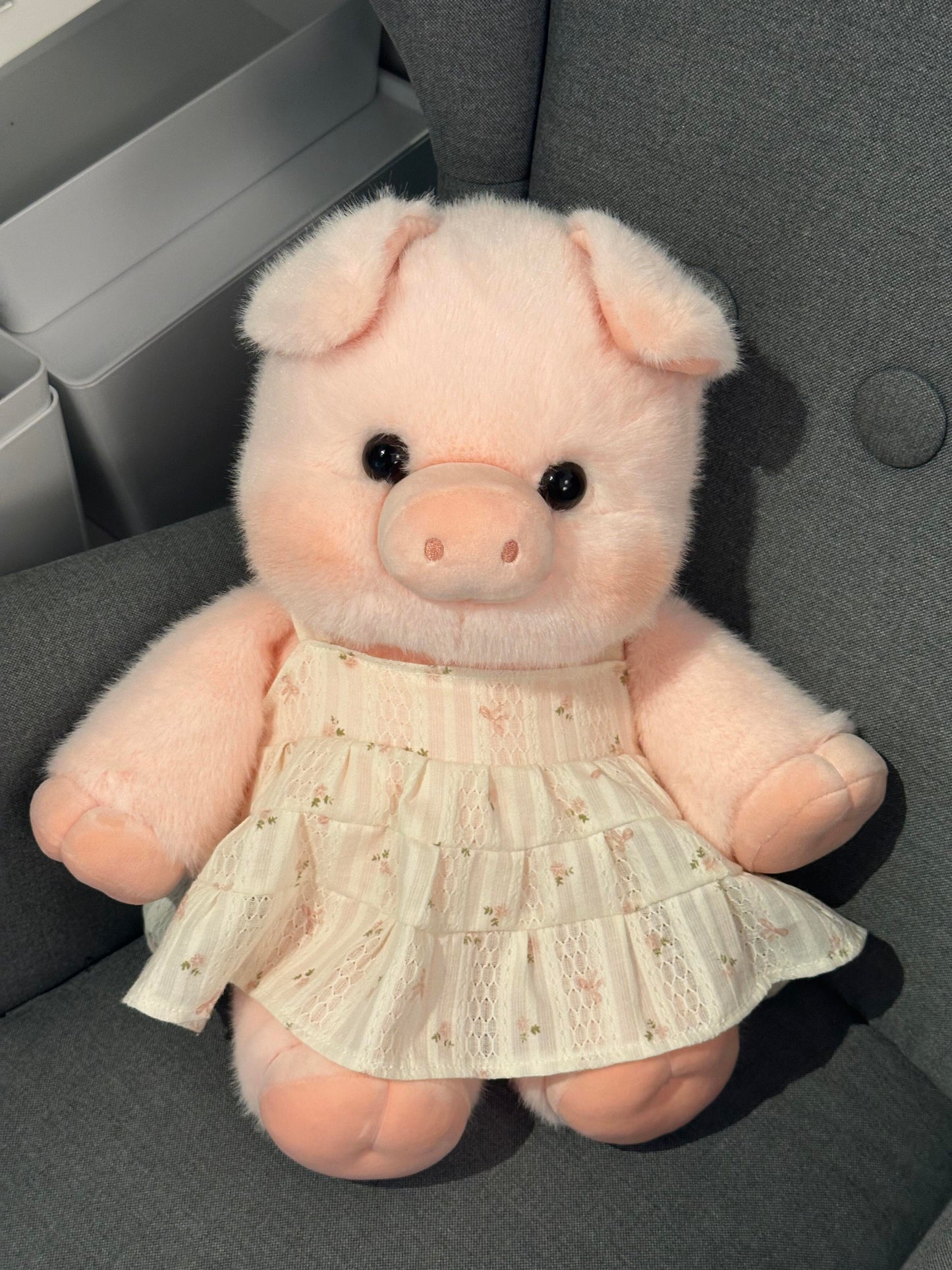 Pigpy+ Dress π·π