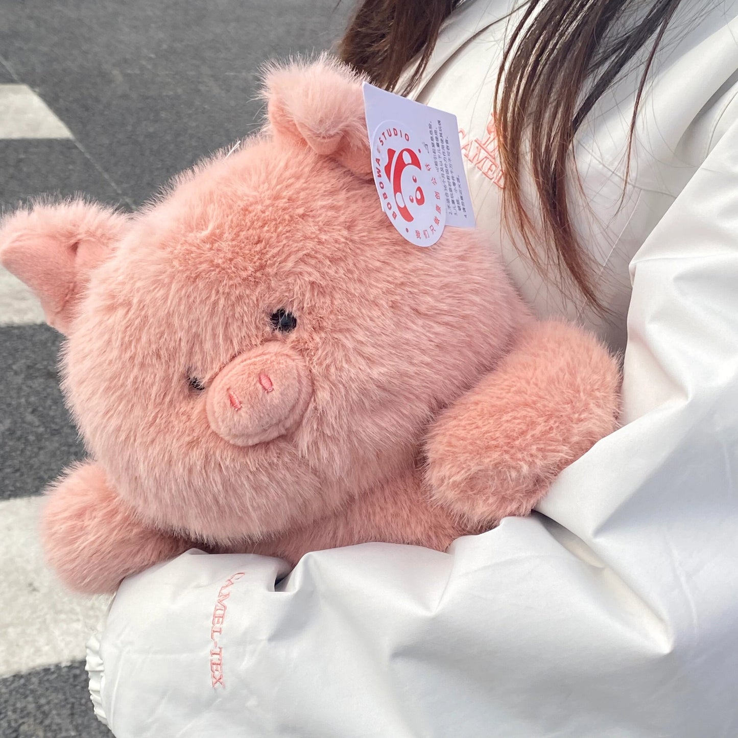 Collection of cute animals๐จ๐ผ๐ถ๐ท๐ง