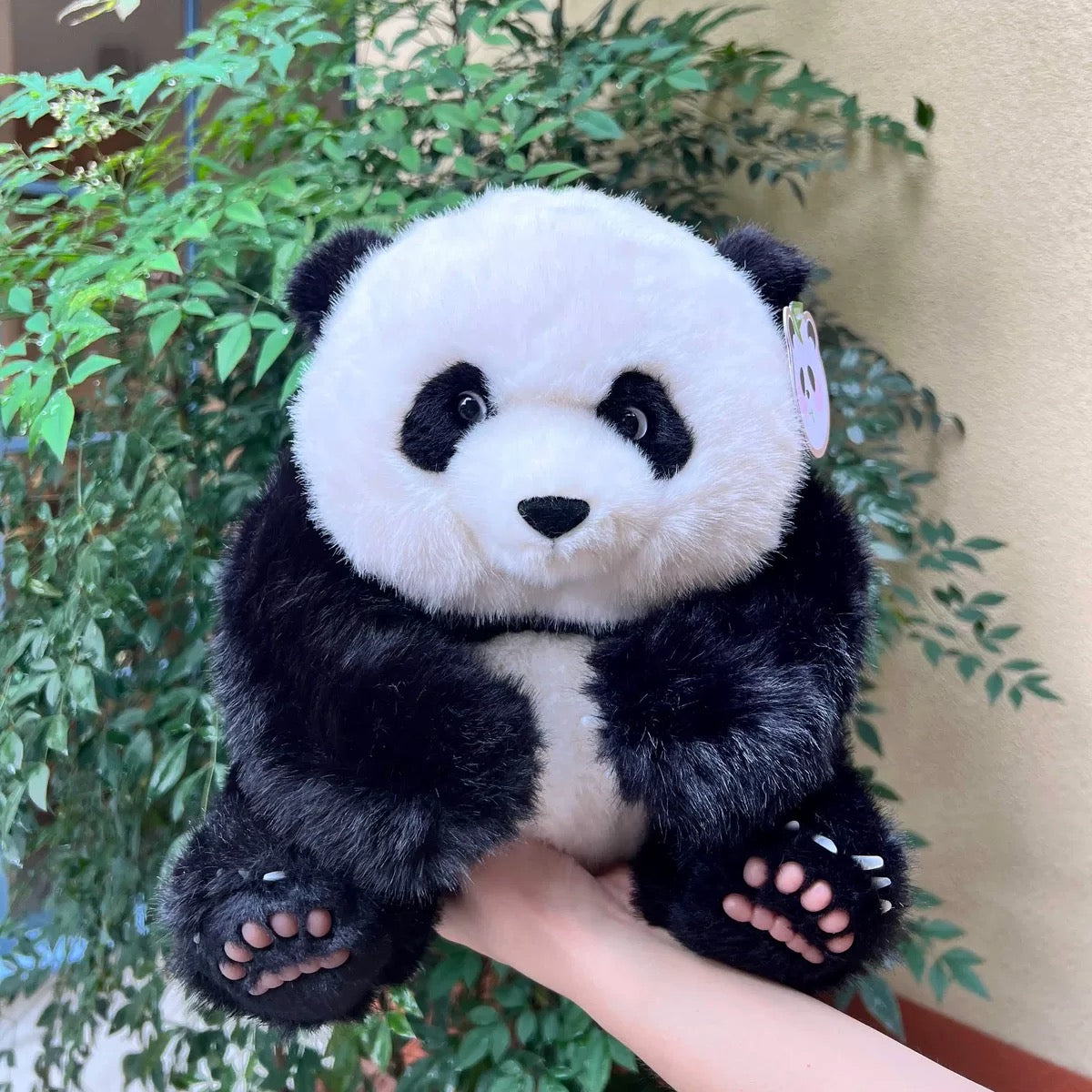 ๐Panda ๐ผ