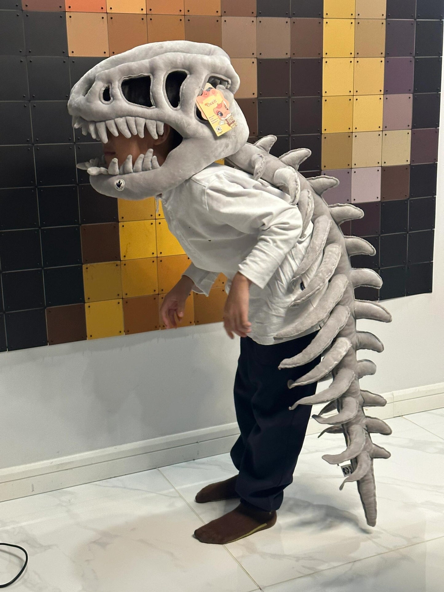 Dinosaur skeleton🦖🦴🦴