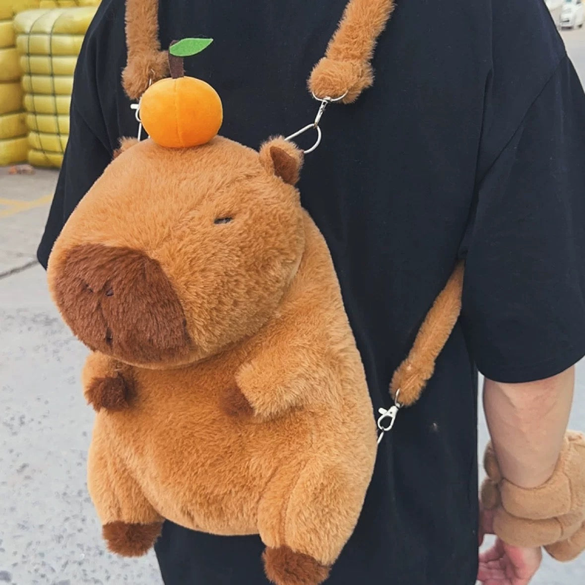 Capybara bag๐