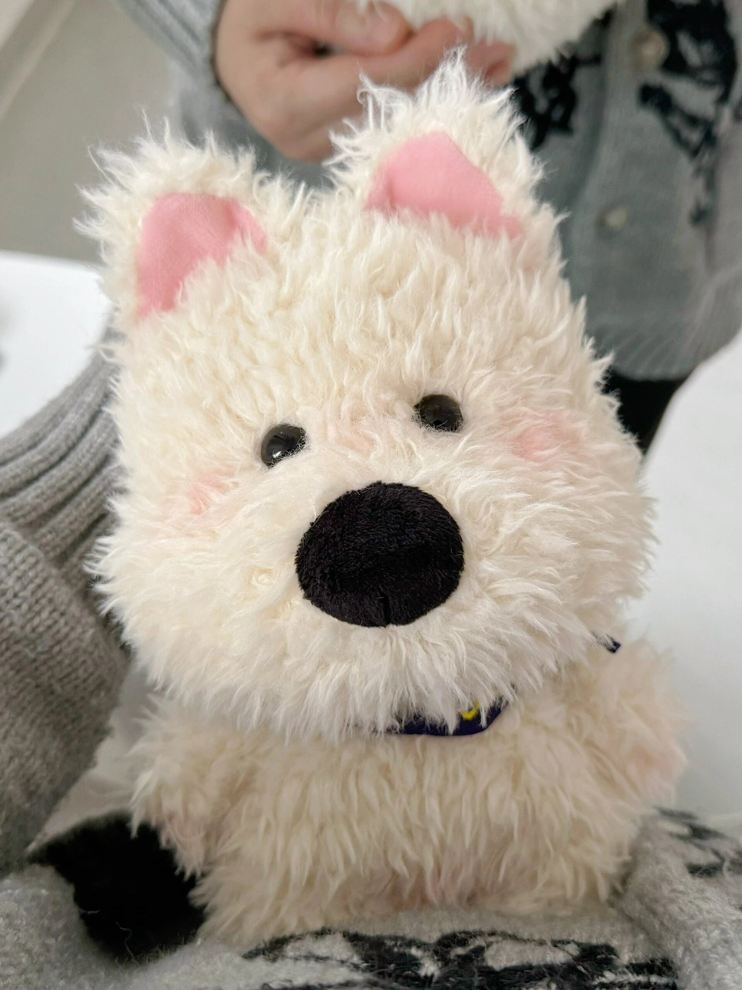 Puppy doll ๐ถ