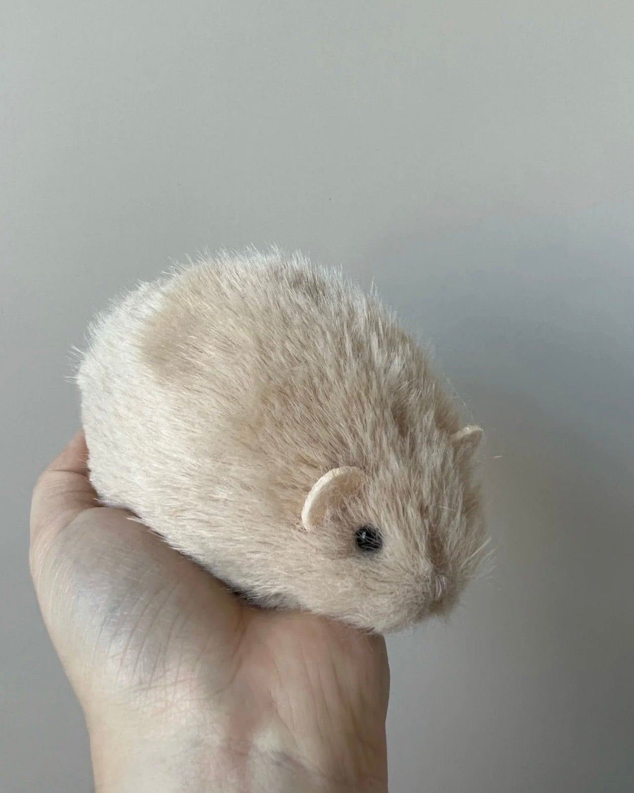 Hamster 🐹🐭