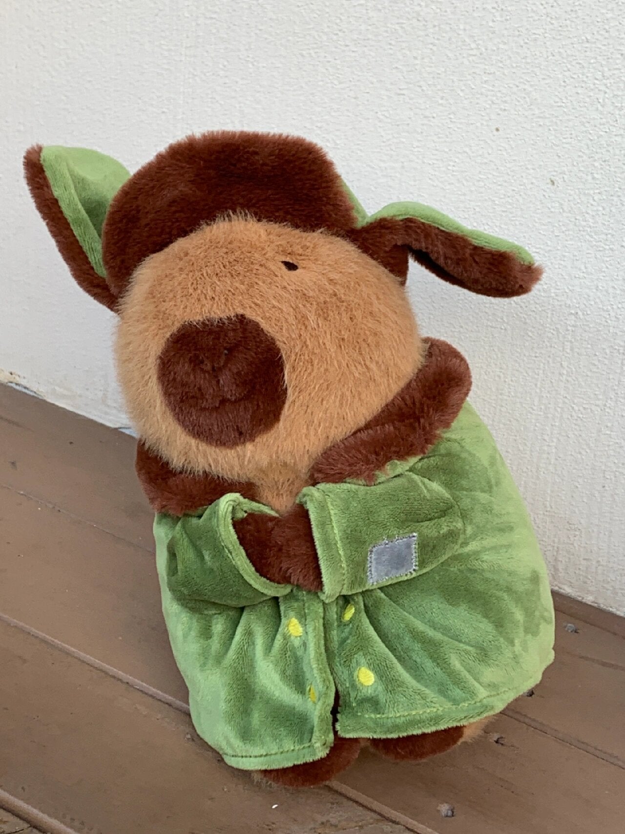Army Coat Capybara & Girlfriend