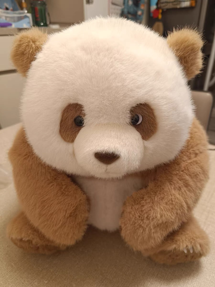 🤎Brown panda 🐼