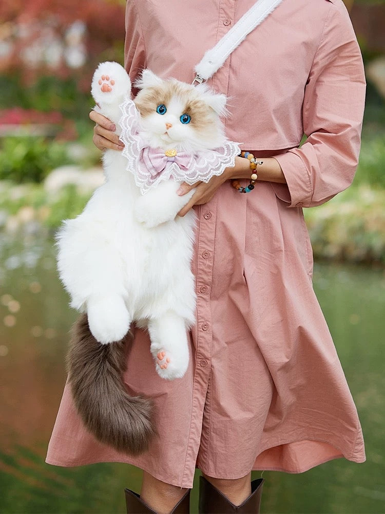 Cat bag π