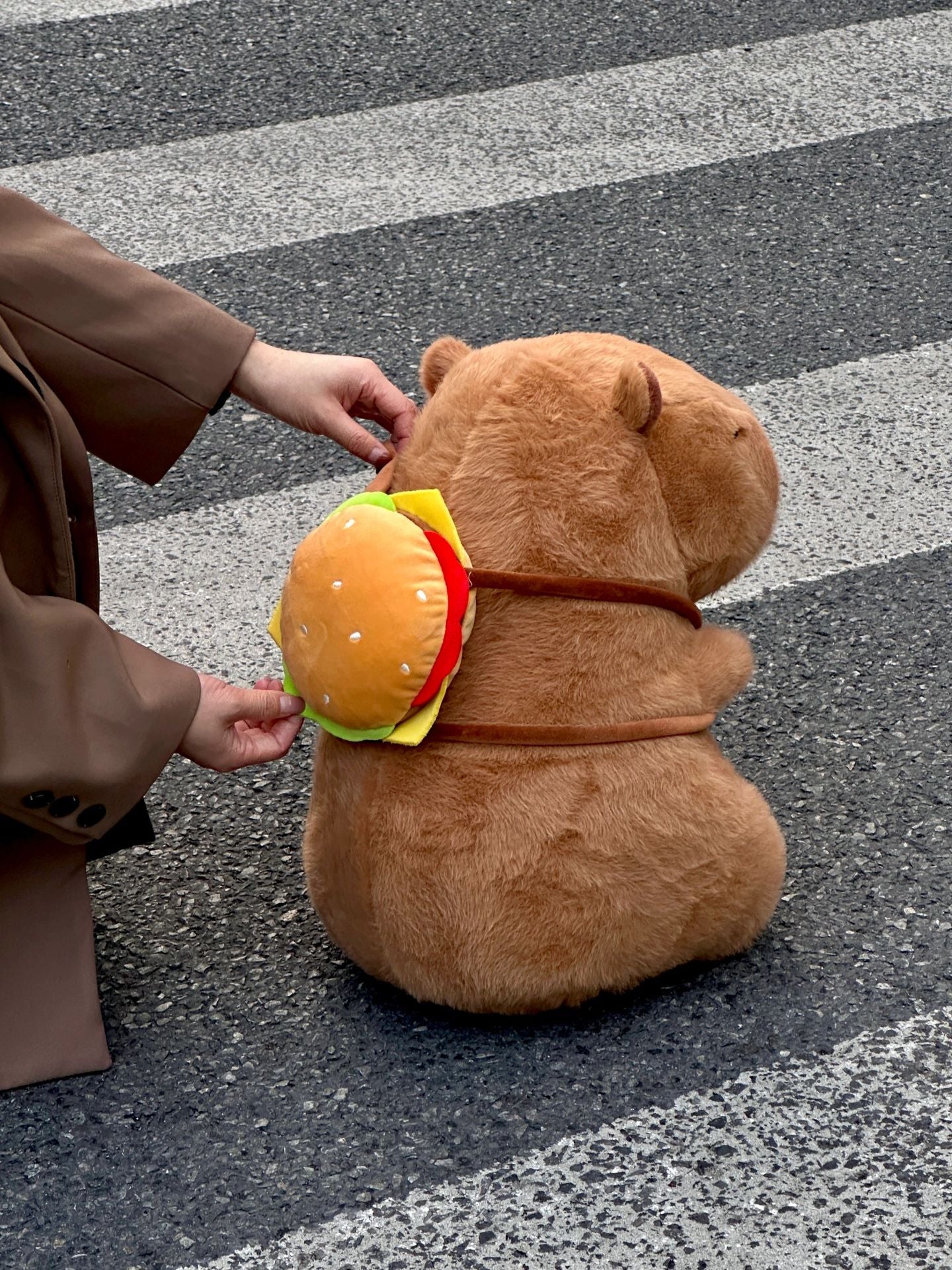 Capybara and burger bag🍔