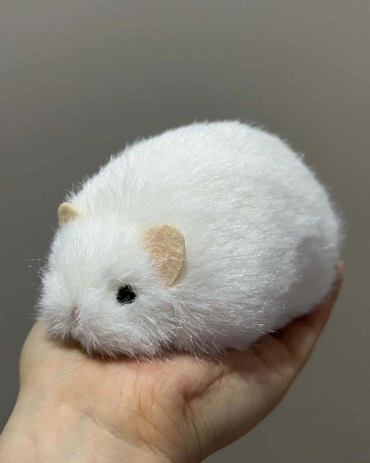 Hamster 🐹🐭