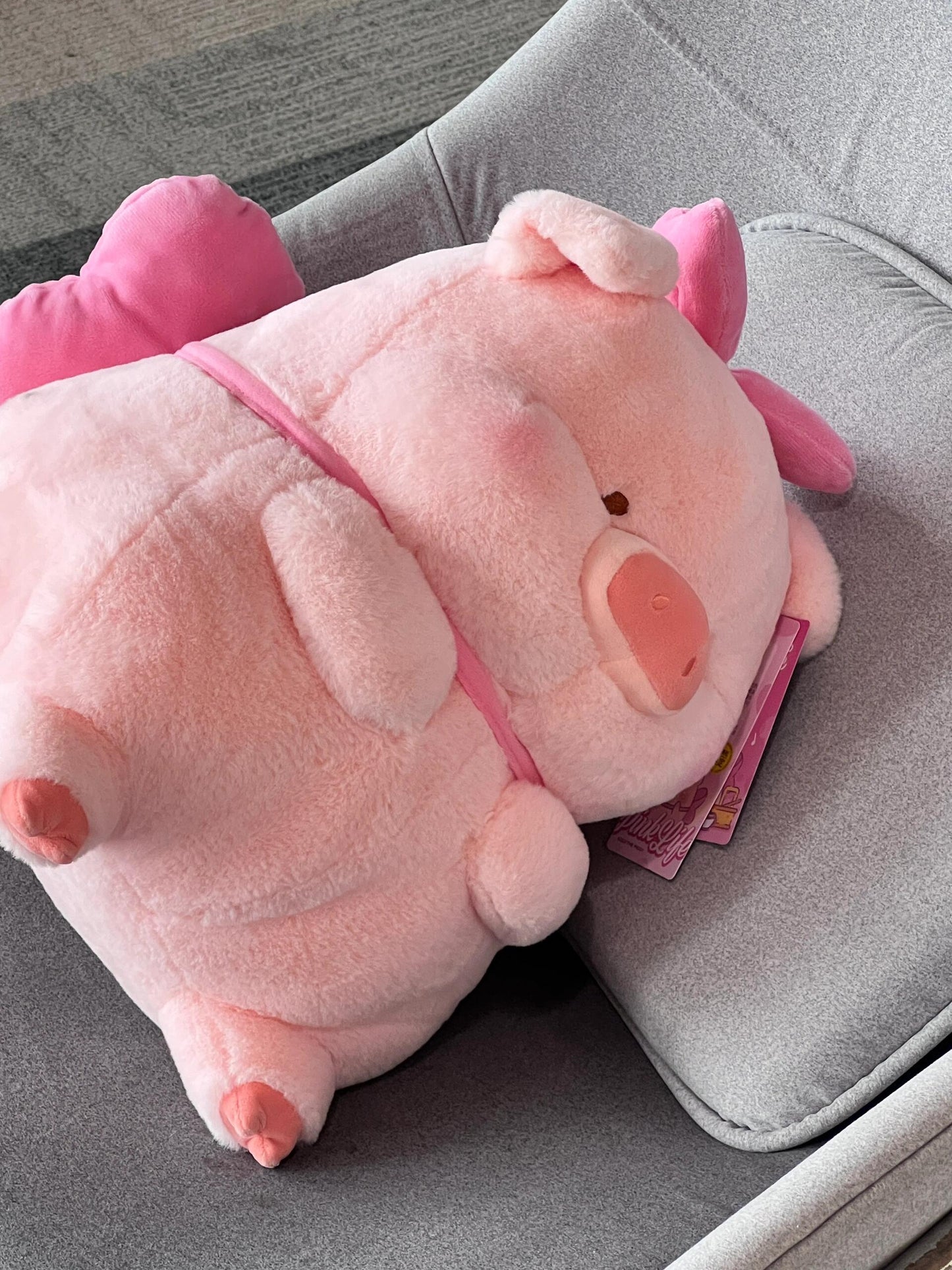 Piggy π·π