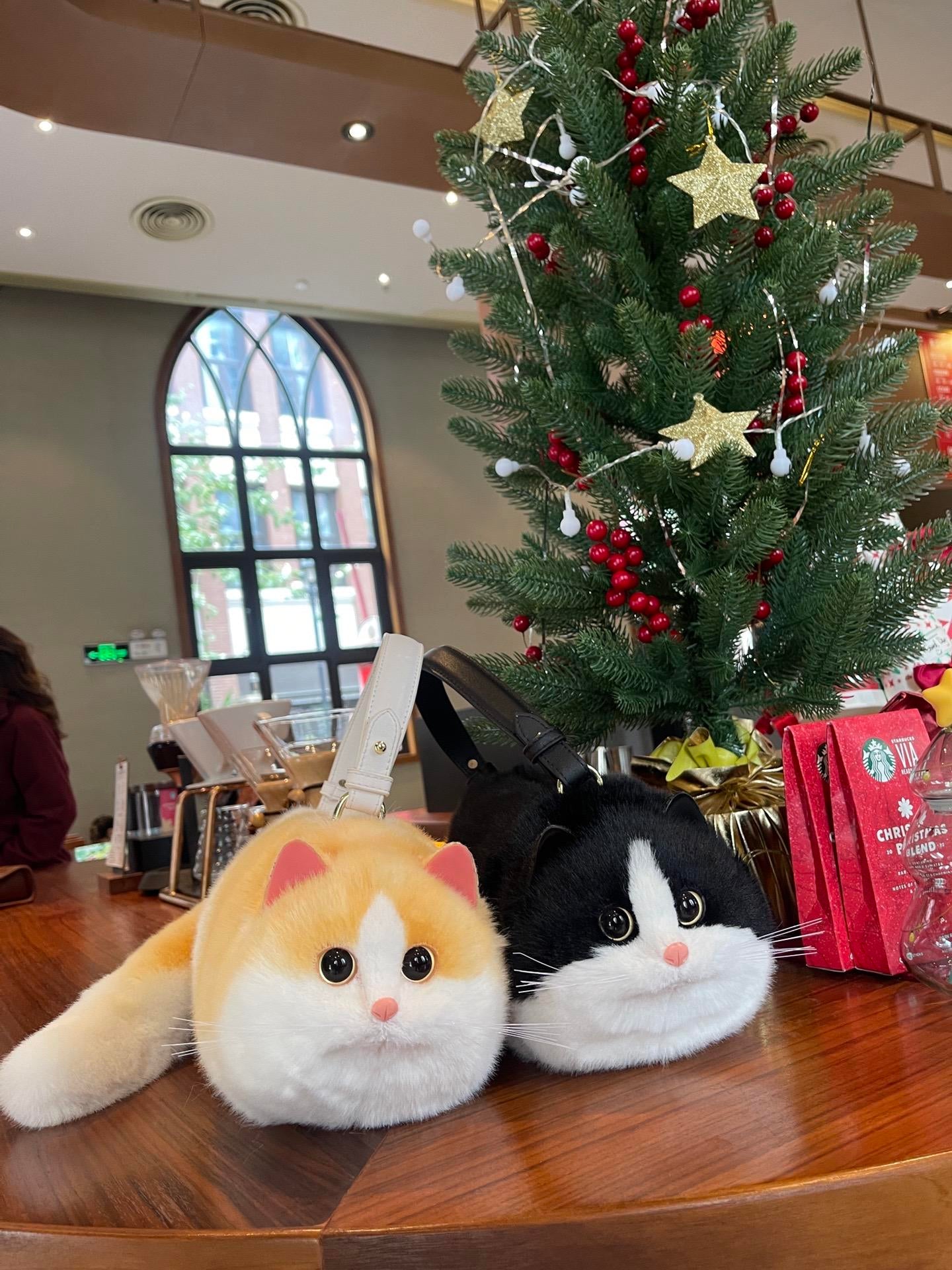 Realistic cat bagπββ¬ππ±π»πΉπ½