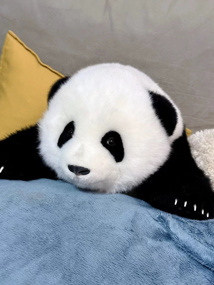 Realistic panda🐼