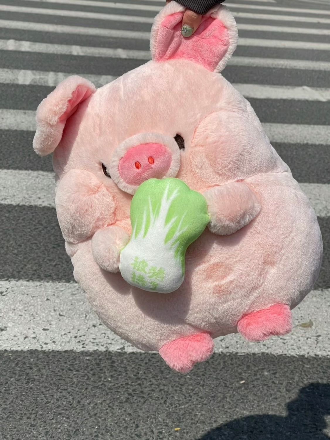 ๐ฝPig๐ฅฌ and ๐ถDog๐