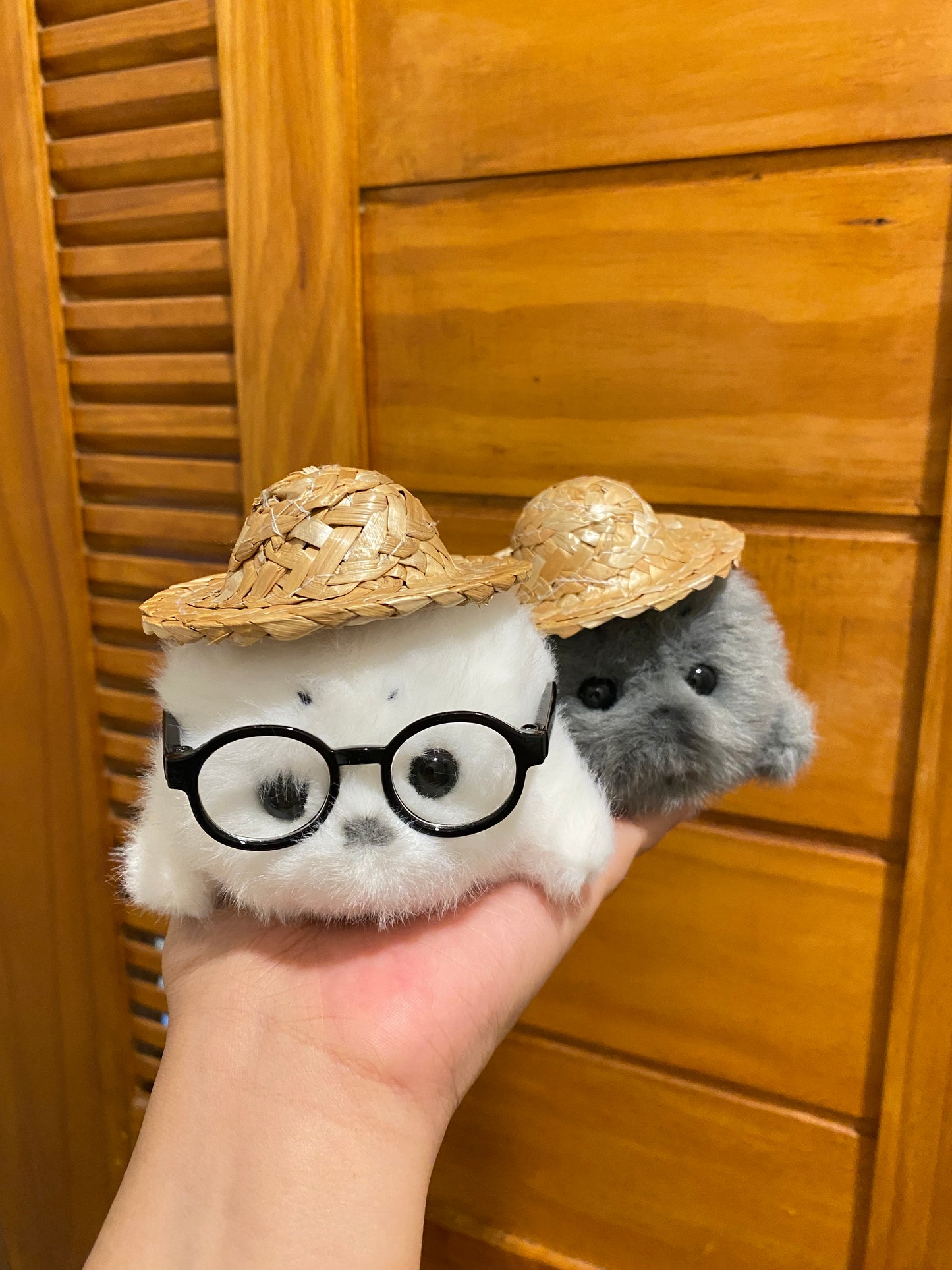 Mini seals 🦭🩶🤍