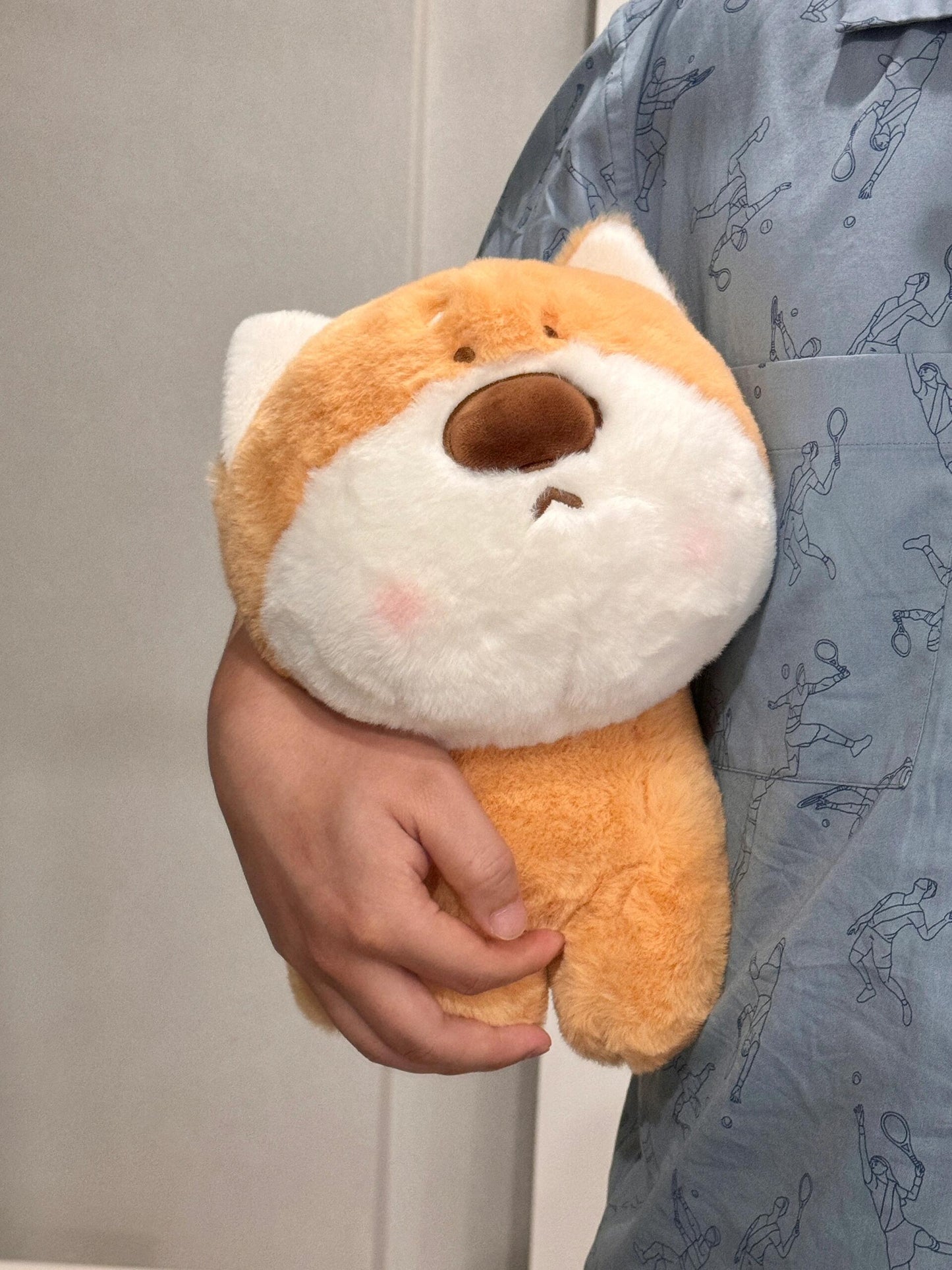 Shiba🧡