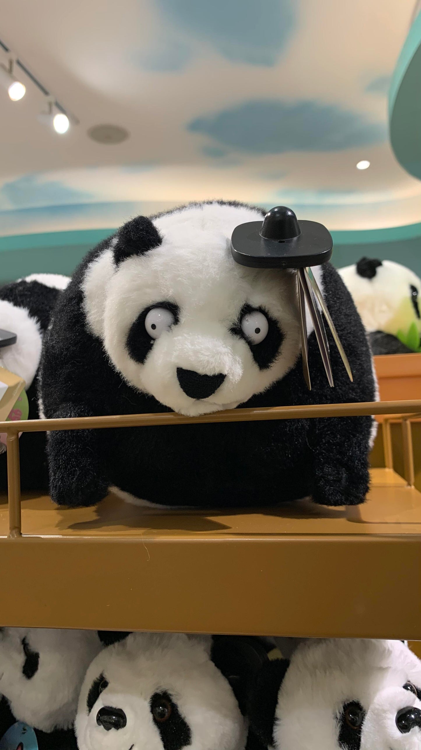 Panda ๐ผ๐ผ๐ผ