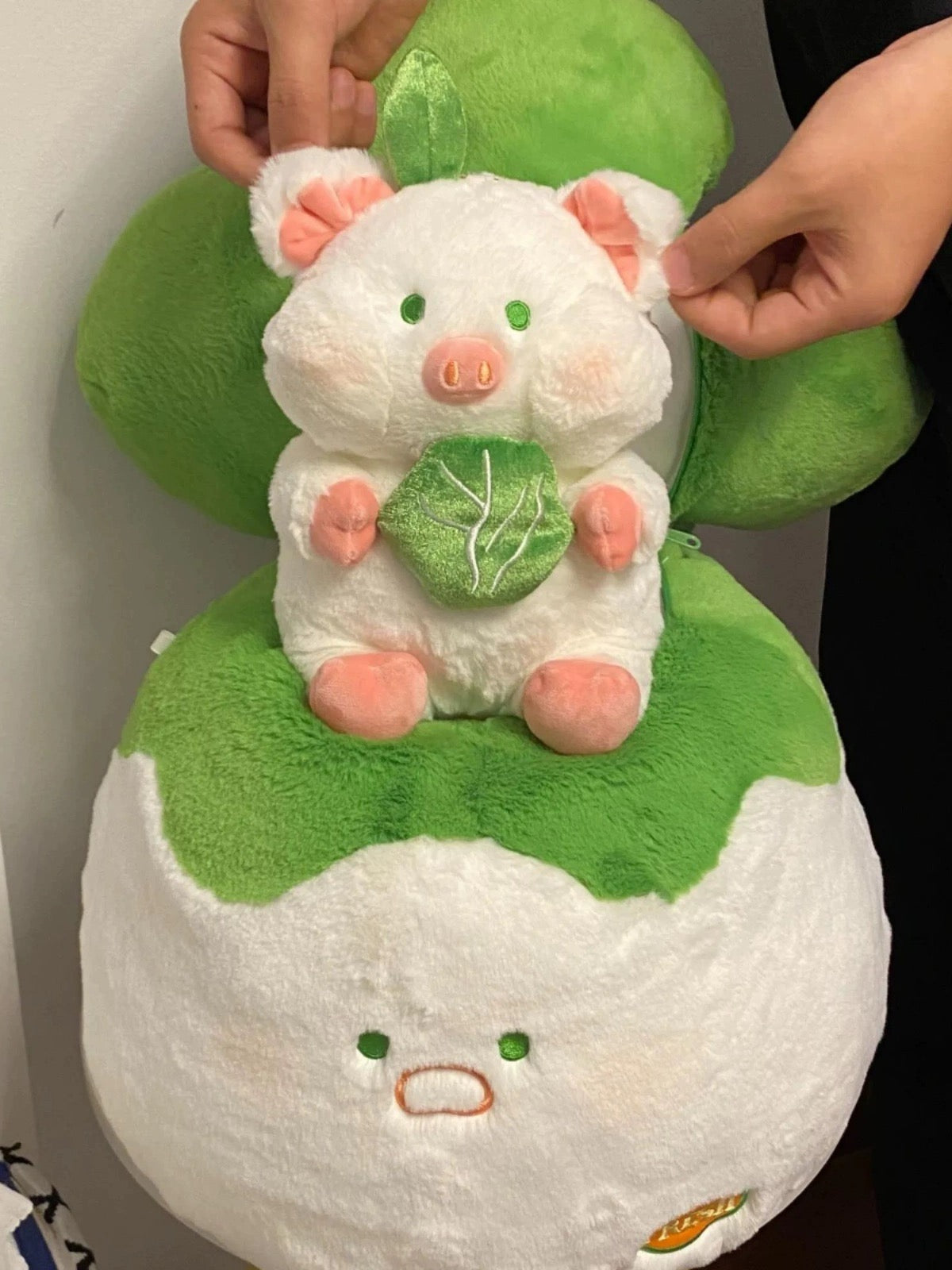 Stuffed vegetable doll with pork🐷