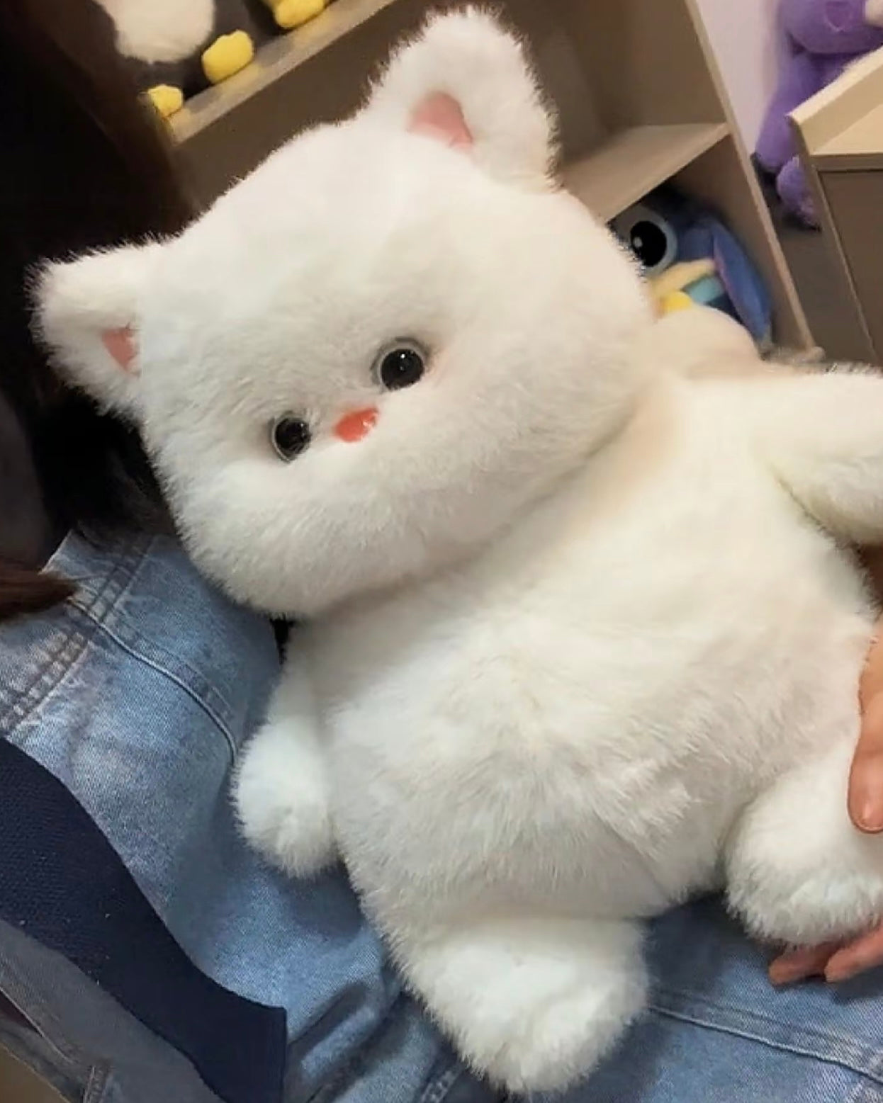 Soft teddy bear🐻❄️