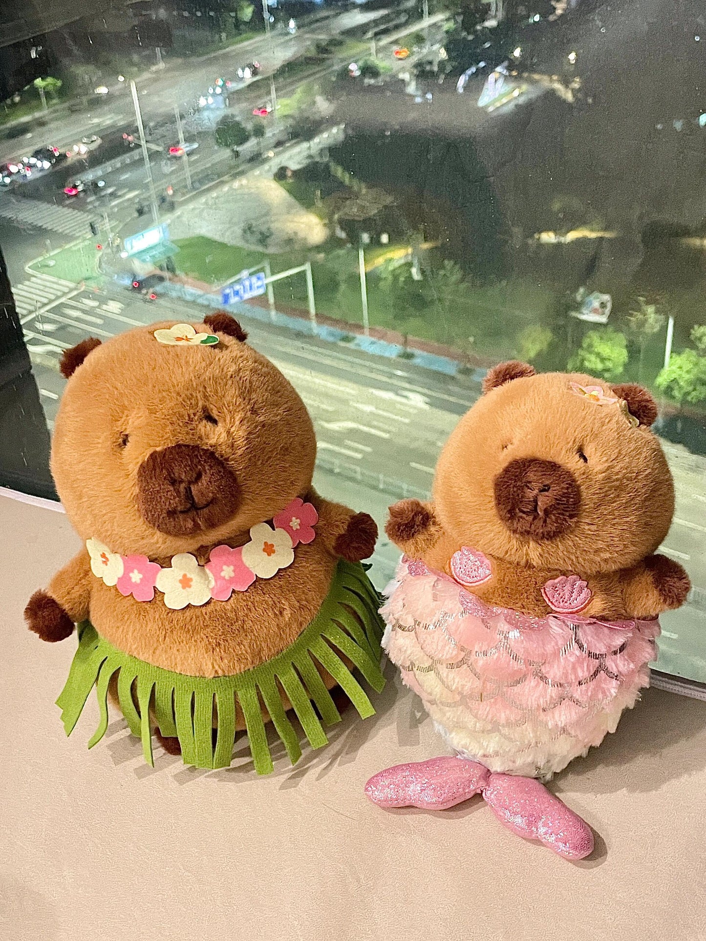 Capybara at the sea๐๐ด