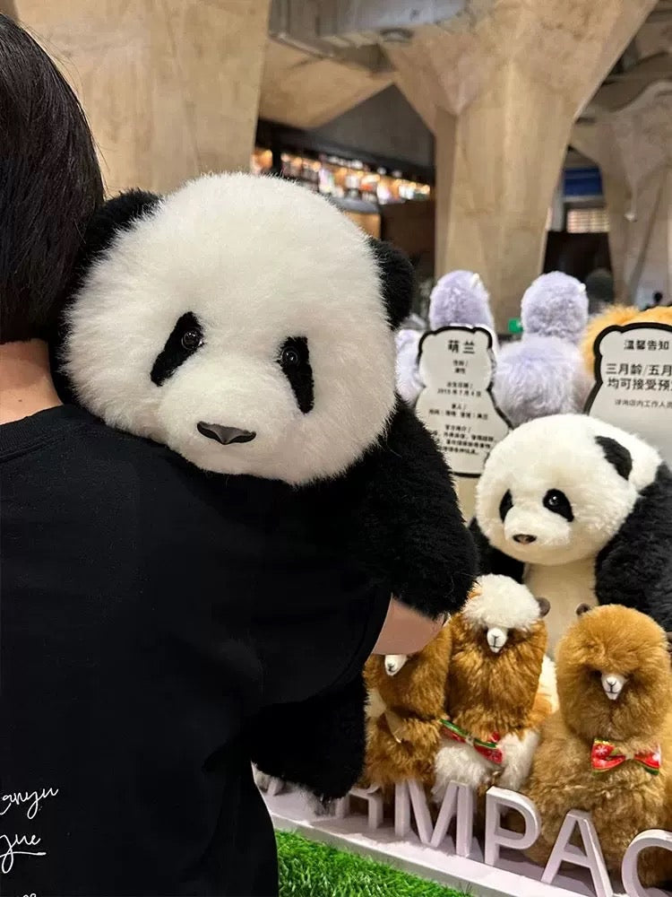 Realistic panda🐼