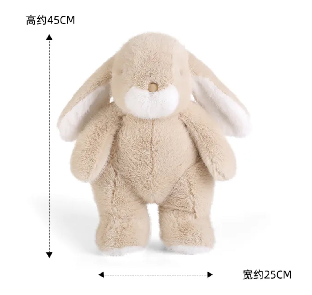 Bunny π°π