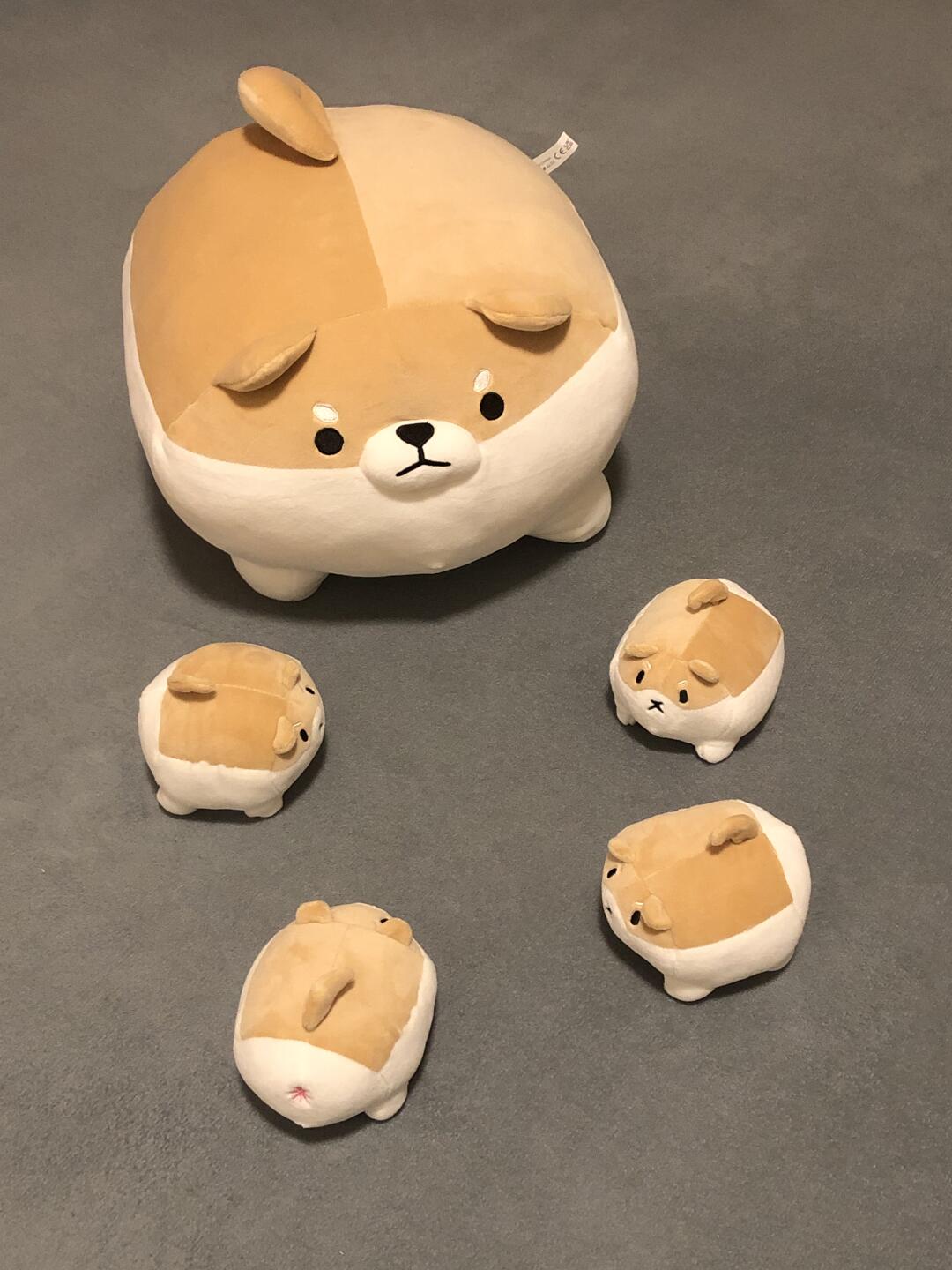 Mother Shiba and her baby