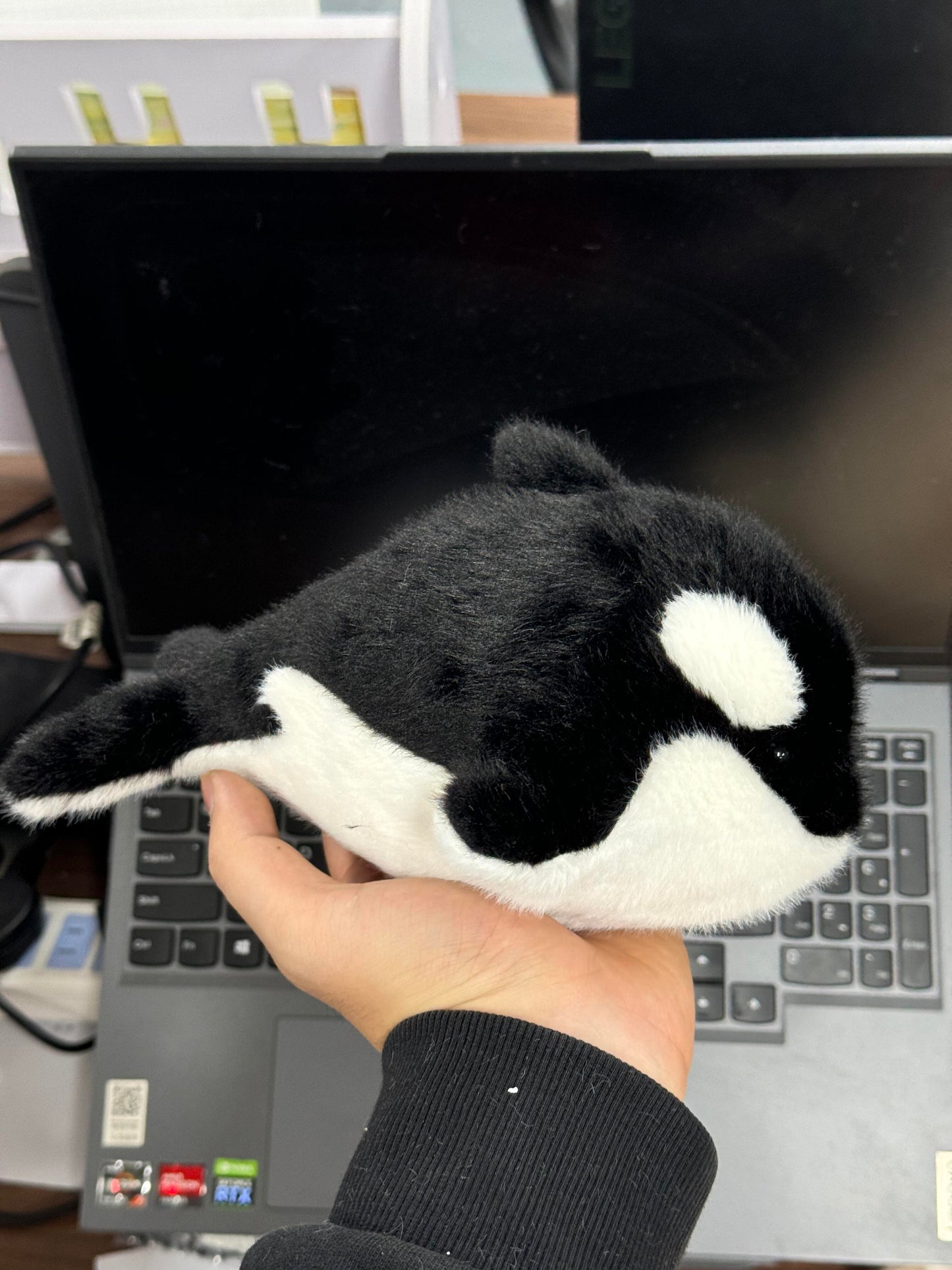 Orca