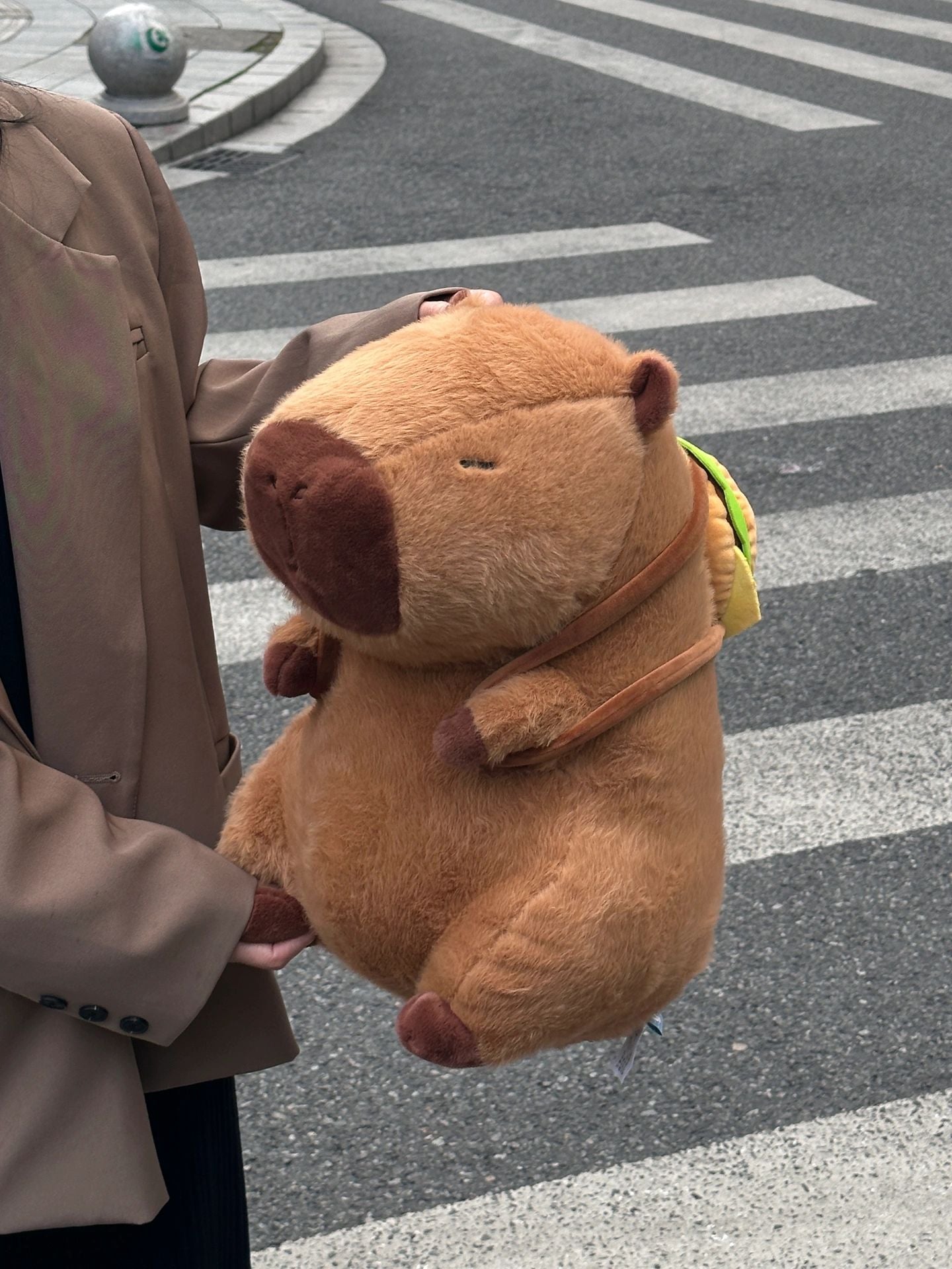 Capybara and burger bag🍔