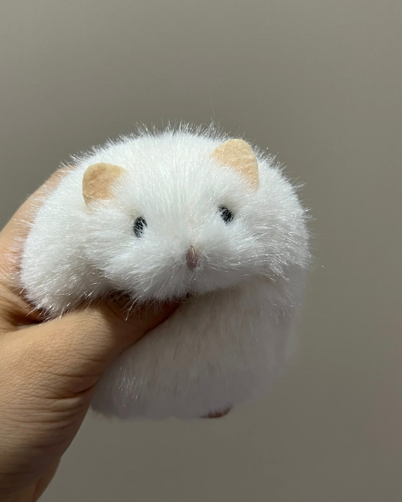 Hamster 🐹🐭