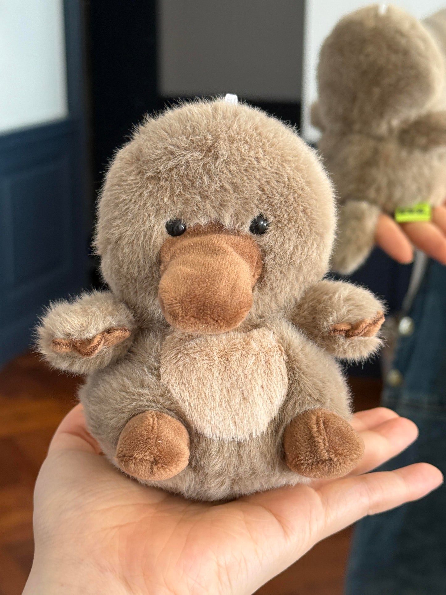 Mini platypus