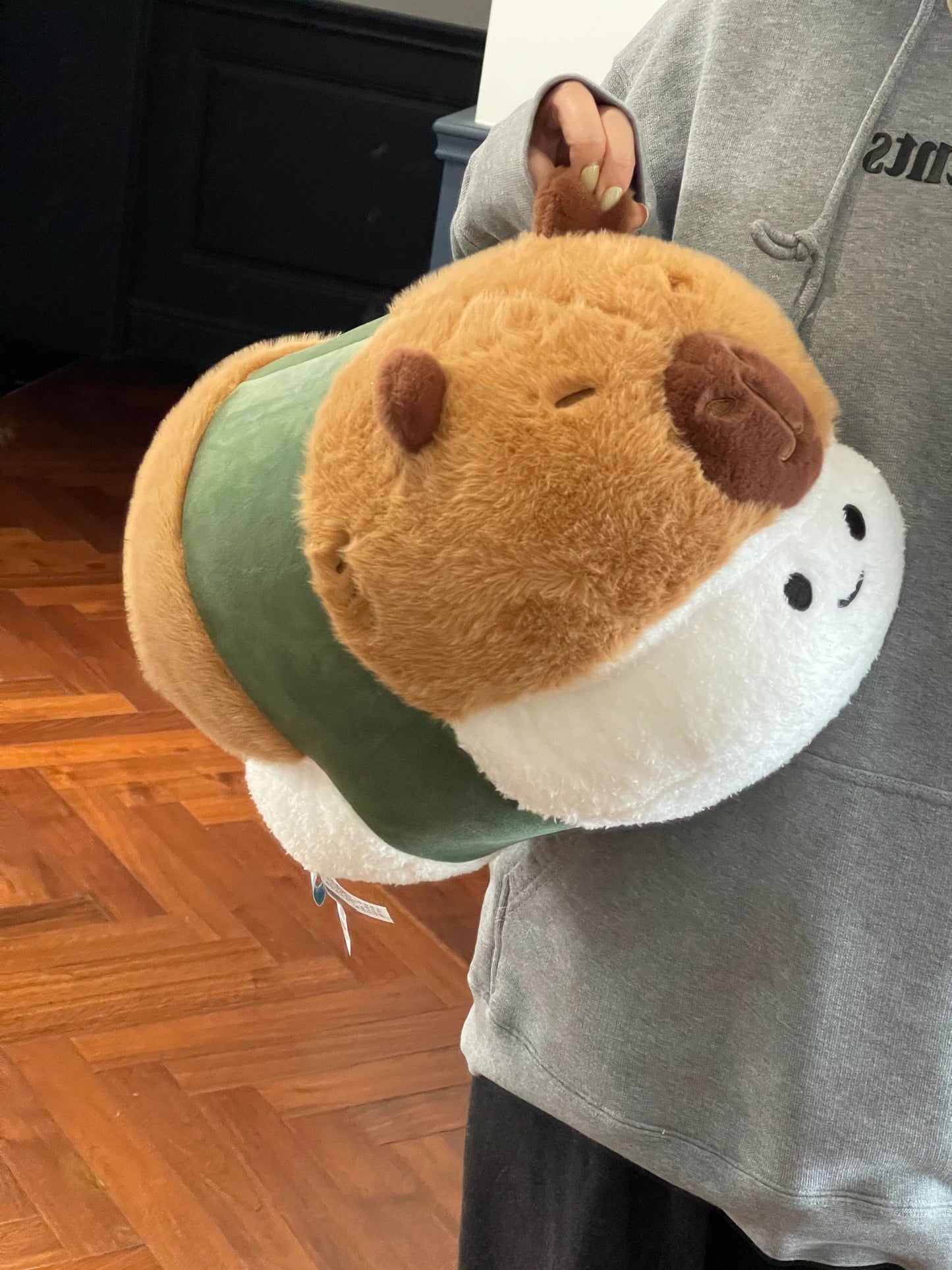 Capybara sushi🍣