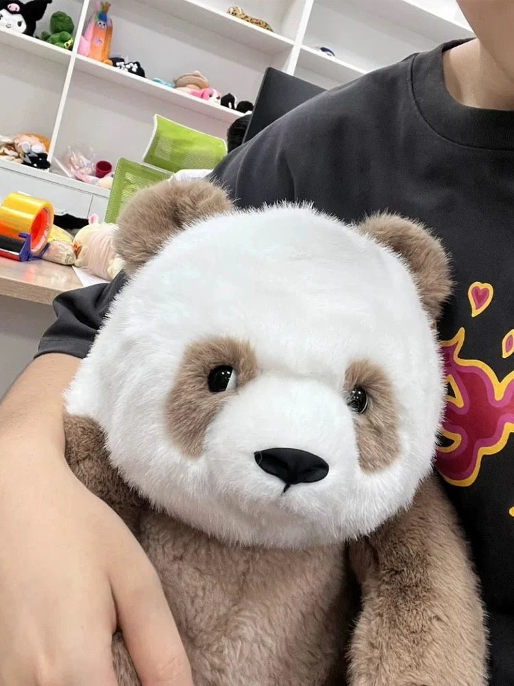 Brown panda🐻❄️🐻
