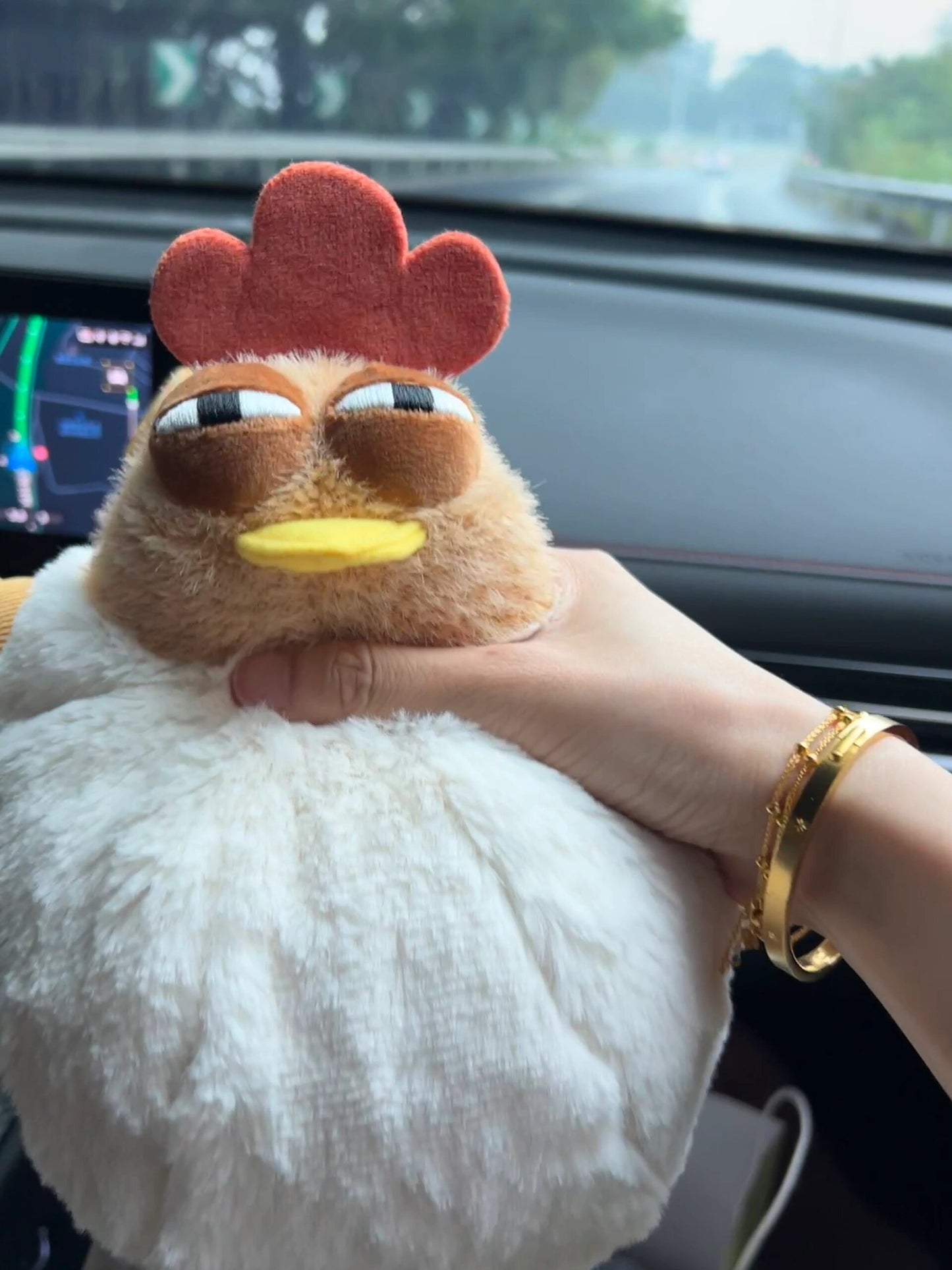 🐔Chicken bag🐔