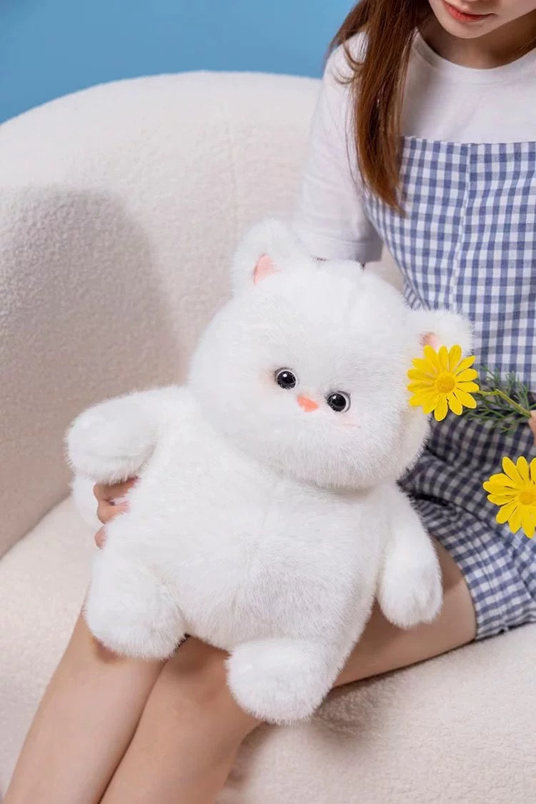White cat