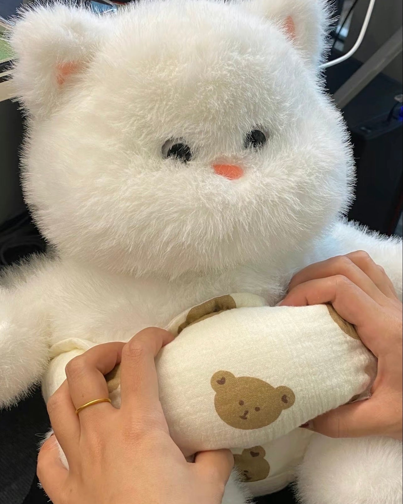 Soft teddy bear🐻❄️