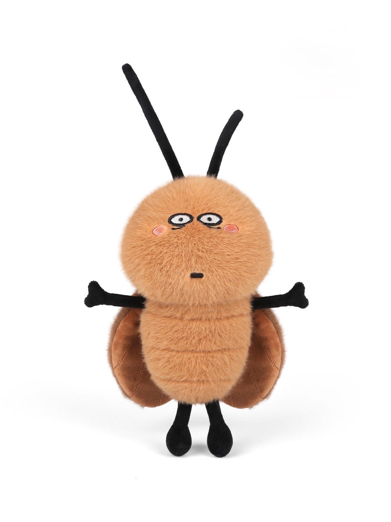 Cockroach 🪳🪳🪳