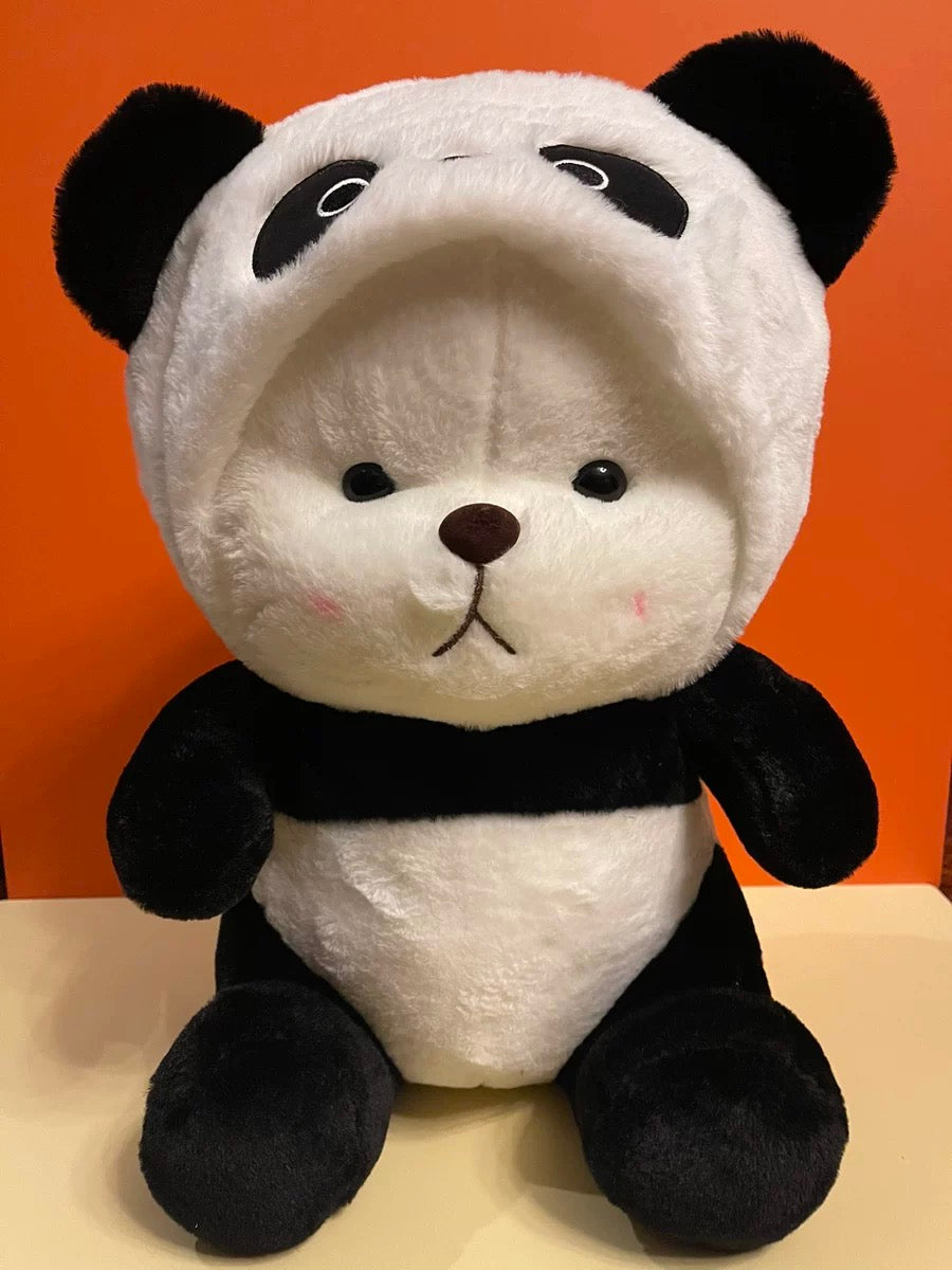 Hi panda🐼