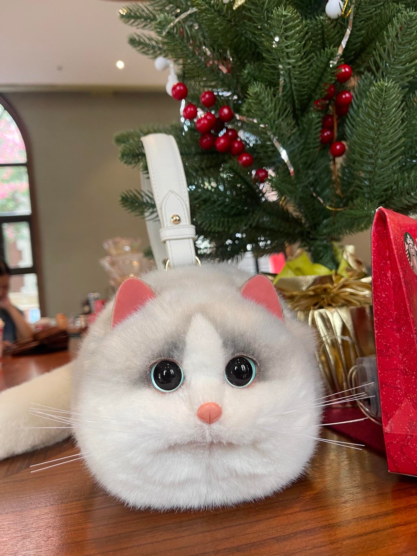 Realistic cat bagπββ¬ππ±π»πΉπ½