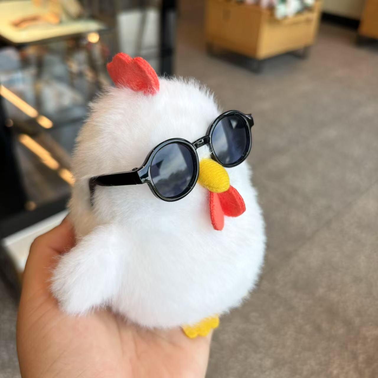 Chicken with glasses🐓🪹😎