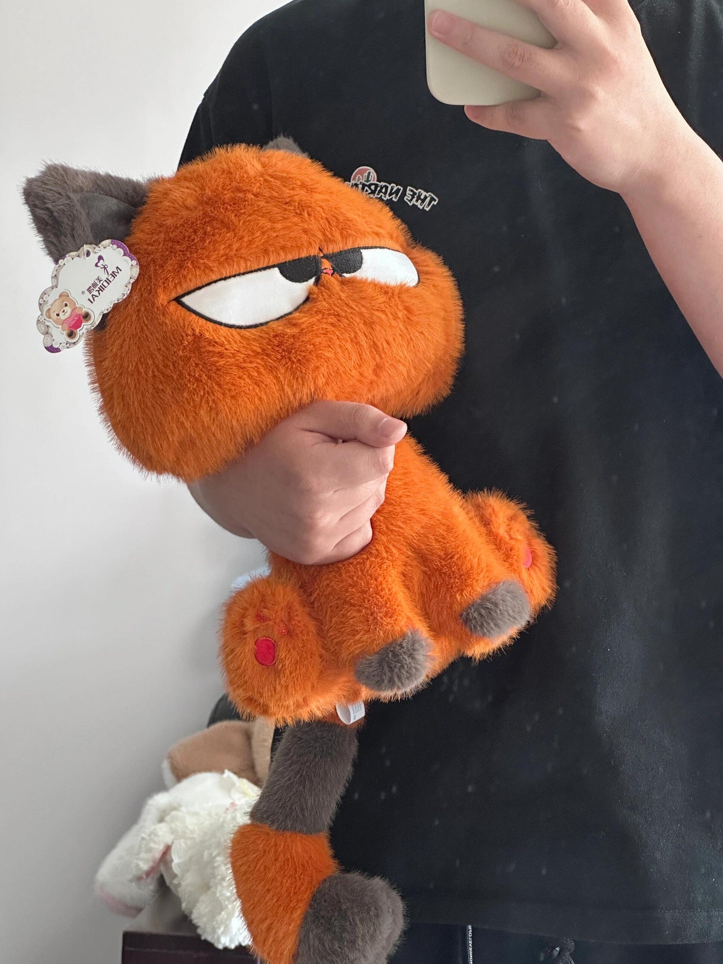 Angry Cat