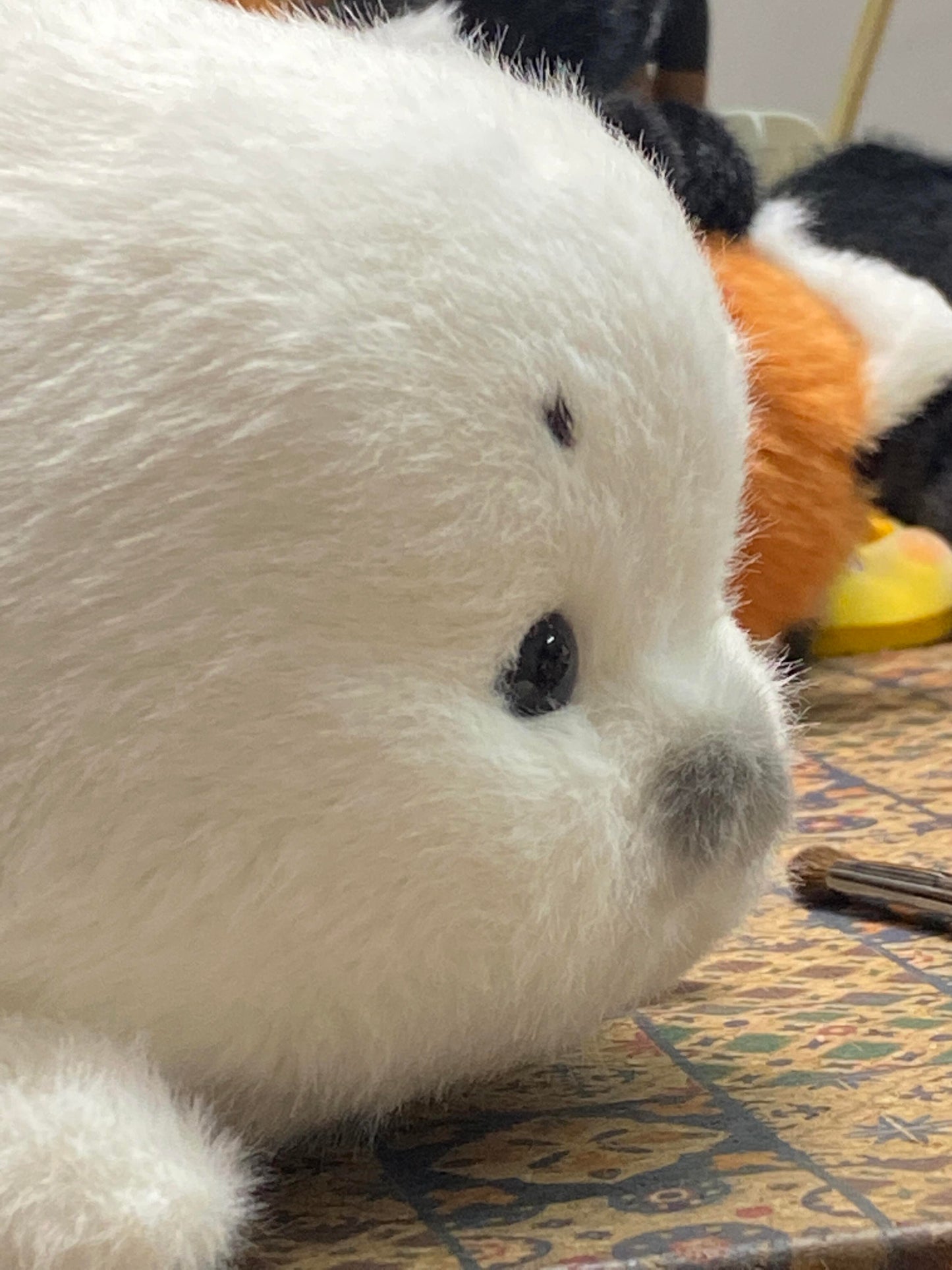 seals🦭