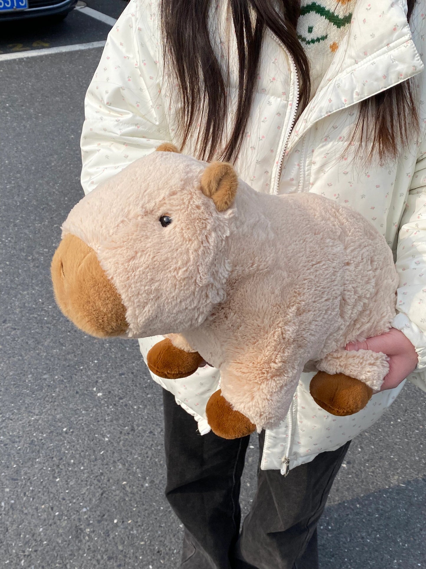 Cute capybara💕