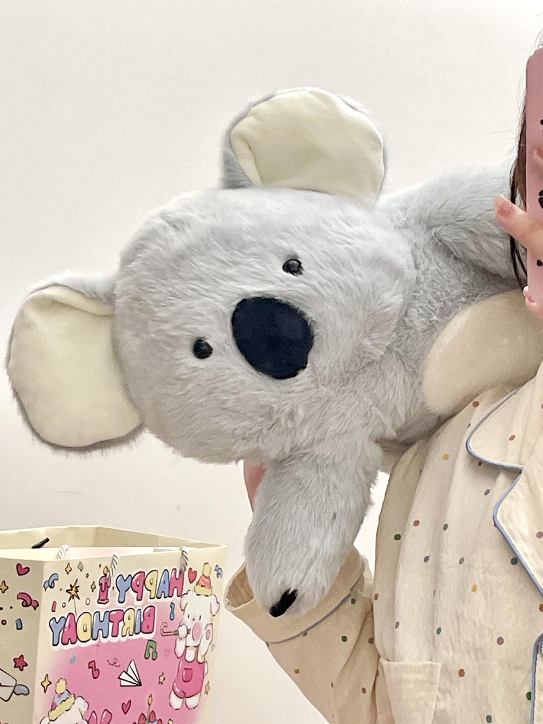 Koala π¨